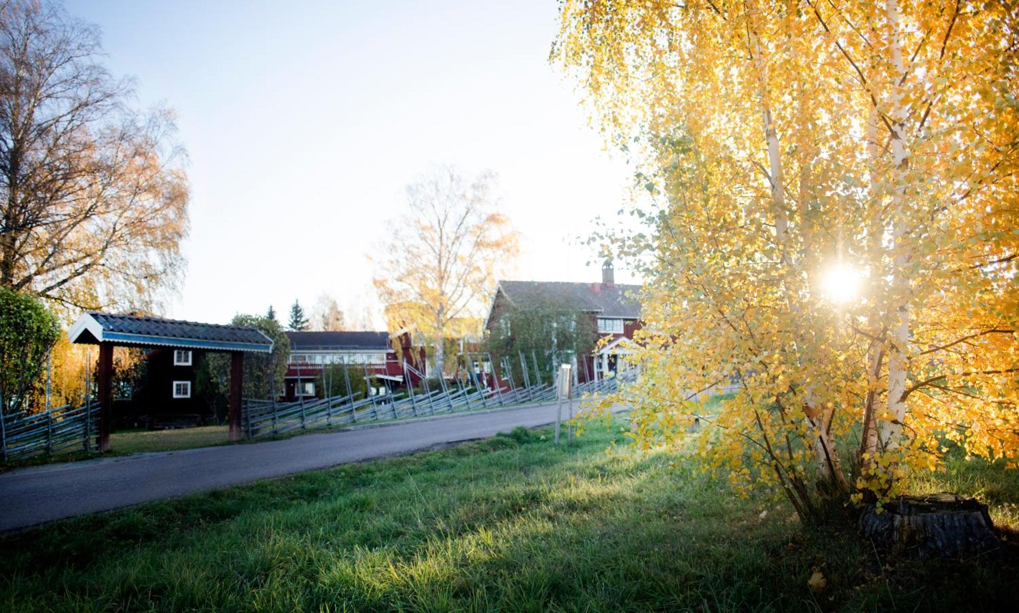 Akerblads Hotell Gastgiveri & Spa Tällberg Eksteriør billede